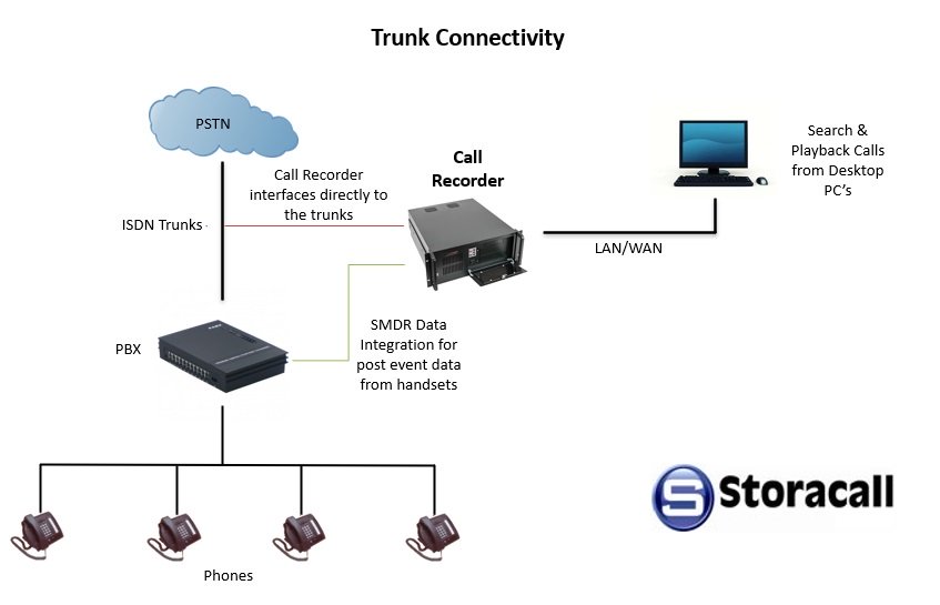 Trunk Connectivity